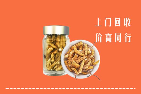 文山市回收冬虫夏草